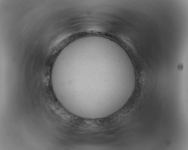 X0000111371015200907241241