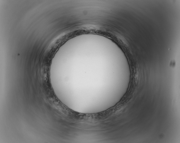 X0000111371016200907241241