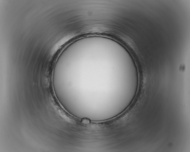 X0000111371018200907241241