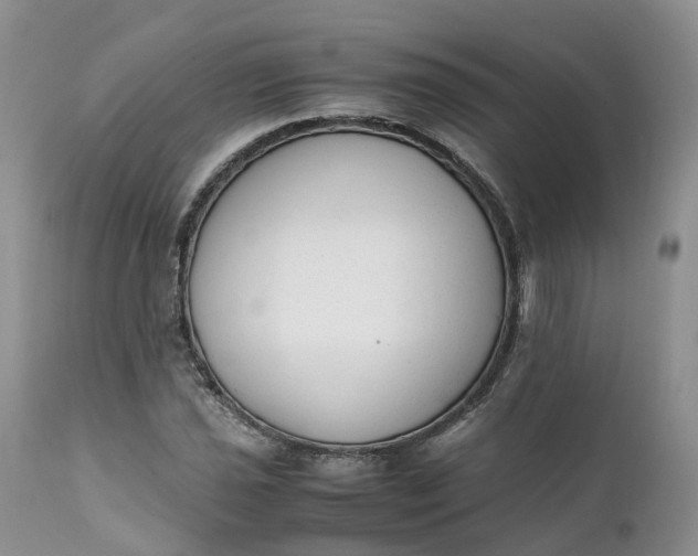 X0000111371021200907241241