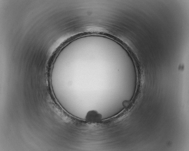 X0000111371022200907241241