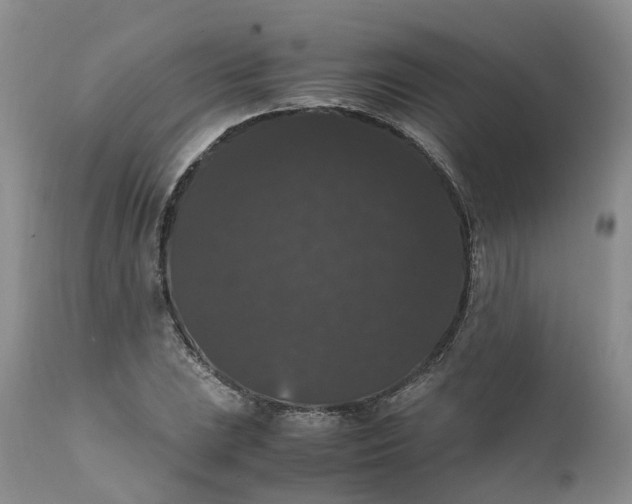 X0000111371023200907241241