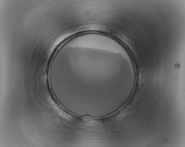 X0000111371024200907241241