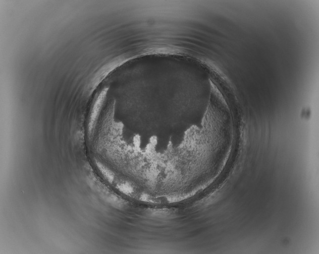 X0000111371025200907241241