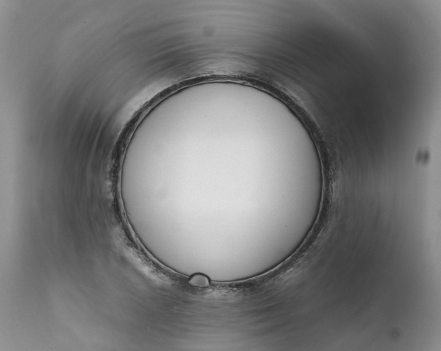 X0000111371026200907241241