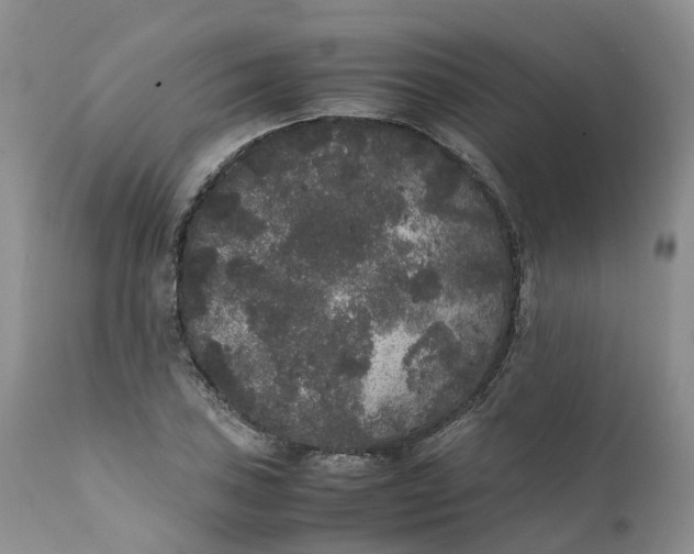 X0000111371027200907241241