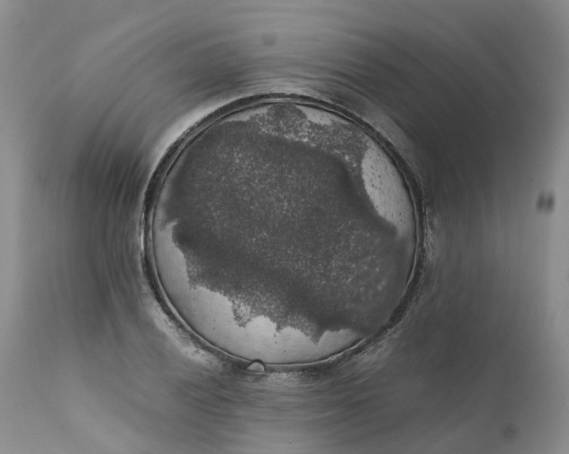 X0000111371028200907241241