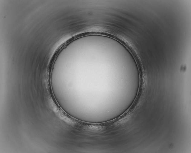 X0000111371029200907241241