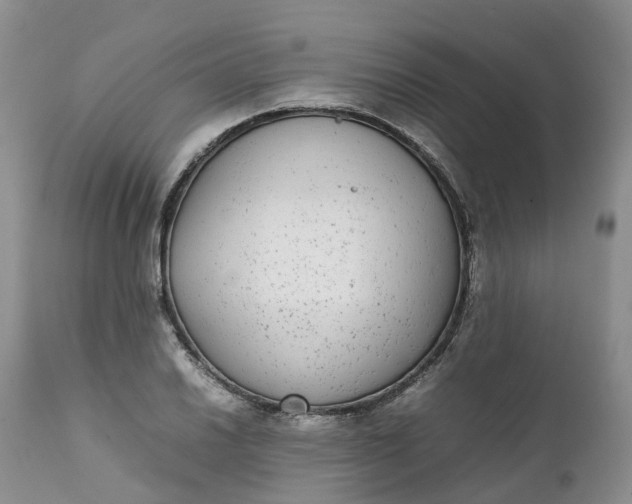 X0000111371030200907241241