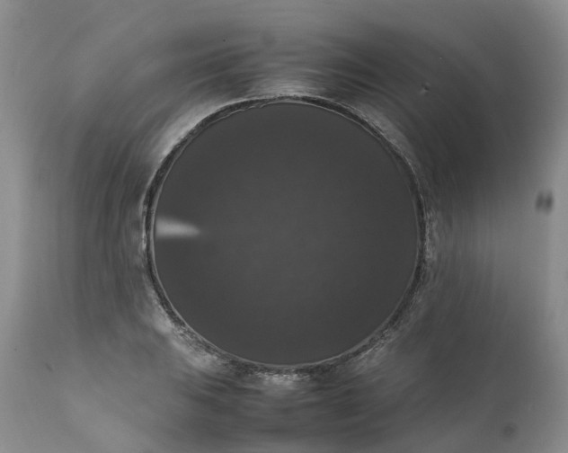 X0000111371031200907241241