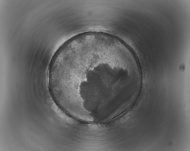 X0000111371032200907241241