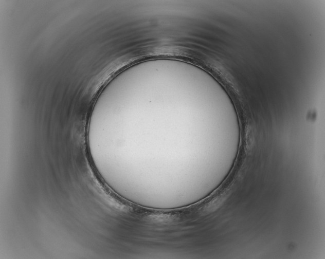 X0000111371033200907241241