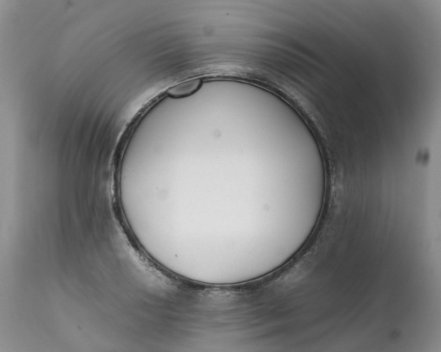 X0000111371034200907241241