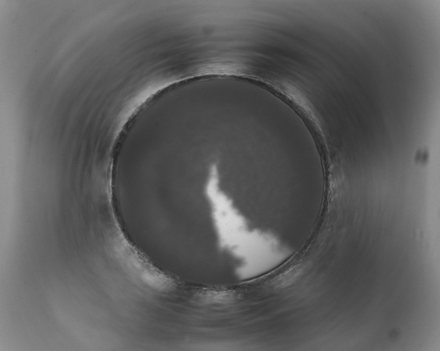 X0000111371035200907241241