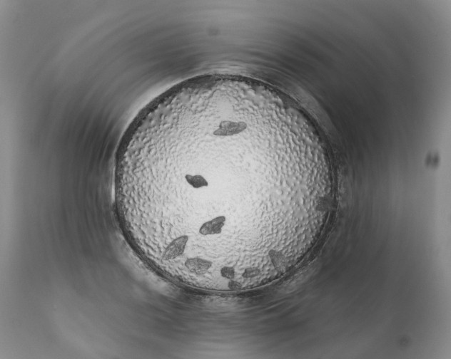 X0000111371036200907241241