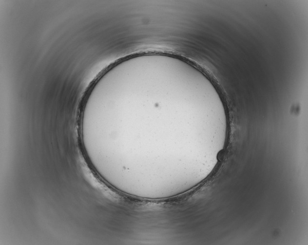 X0000111371038200907241241