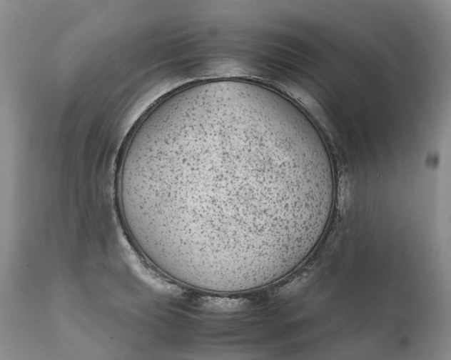 X0000111371039200907241241