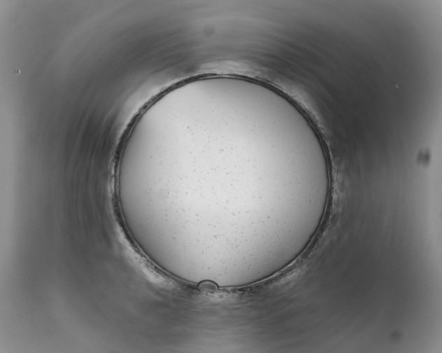 X0000111371040200907241241