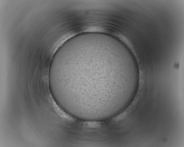 X0000111371041200907241241