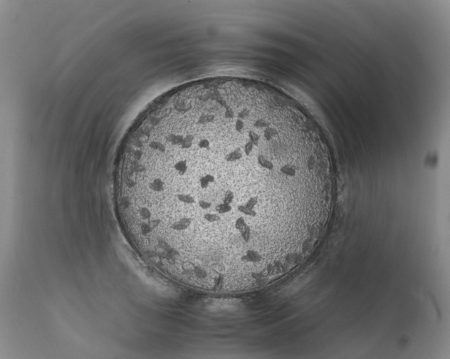 X0000111371043200907241241