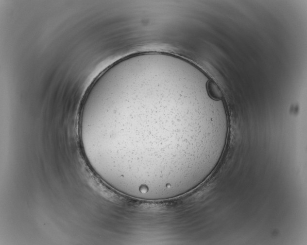 X0000111371044200907241241