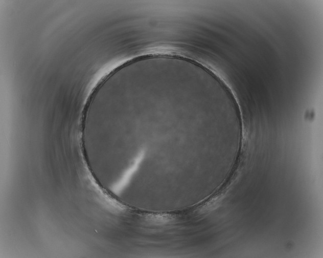 X0000111371045200907241241