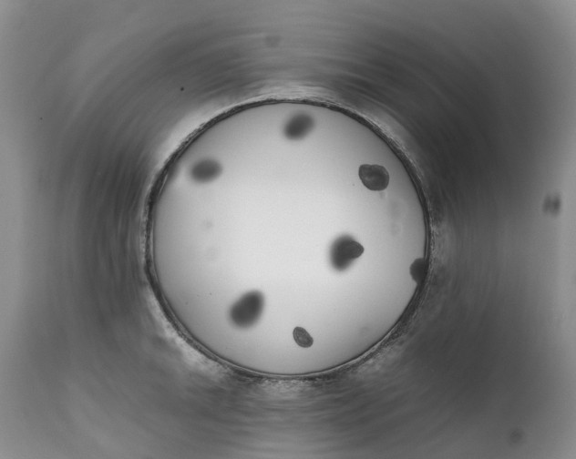 X0000111371046200907241241