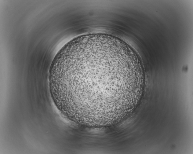 X0000111371047200907241241