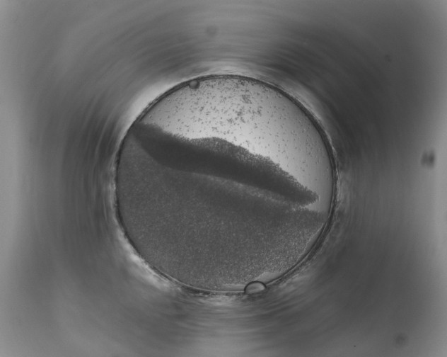 X0000111371048200907241241