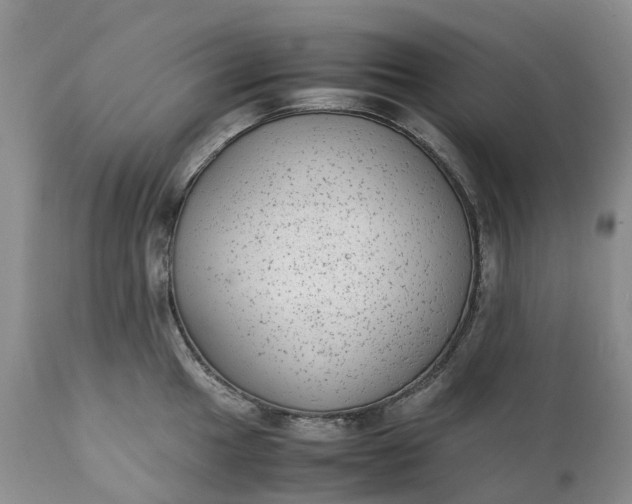 X0000111371049200907241241