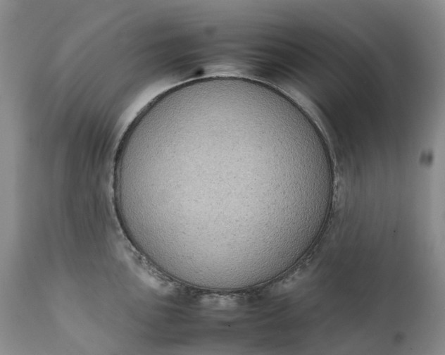 X0000111371051200907241241