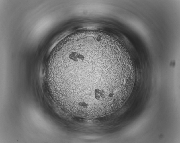 X0000111371052200907241241