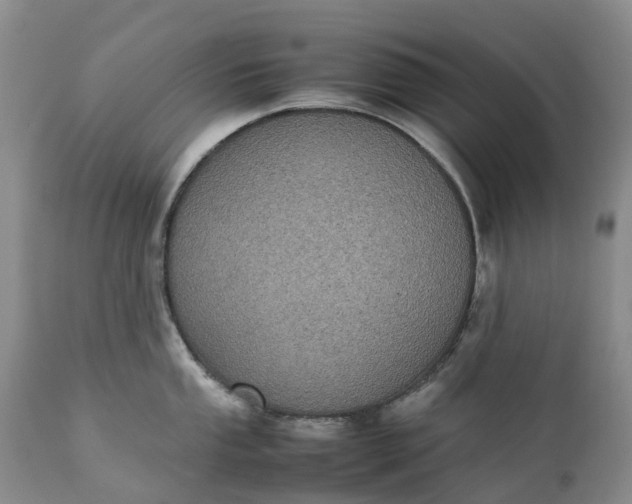 X0000111371053200907241241