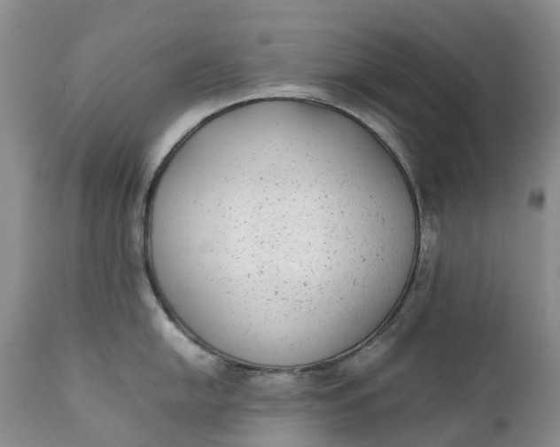 X0000111371054200907241241