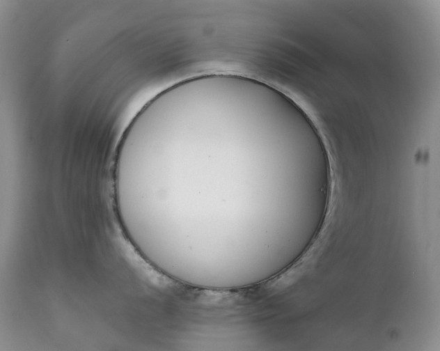 X0000111371056200907241241