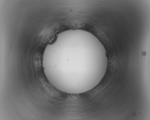 X0000111371058200907241240