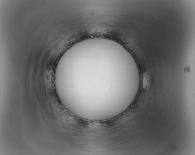 X0000111371059200907241240