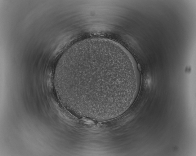 X0000111371060200907241240