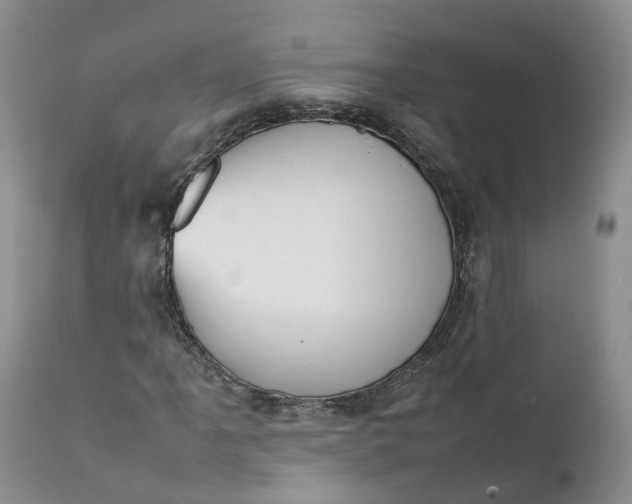 X0000111371061200907241240