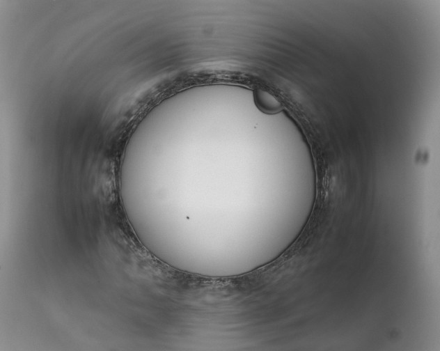 X0000111371062200907241240