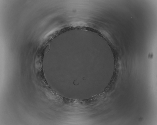 X0000111371063200907241240