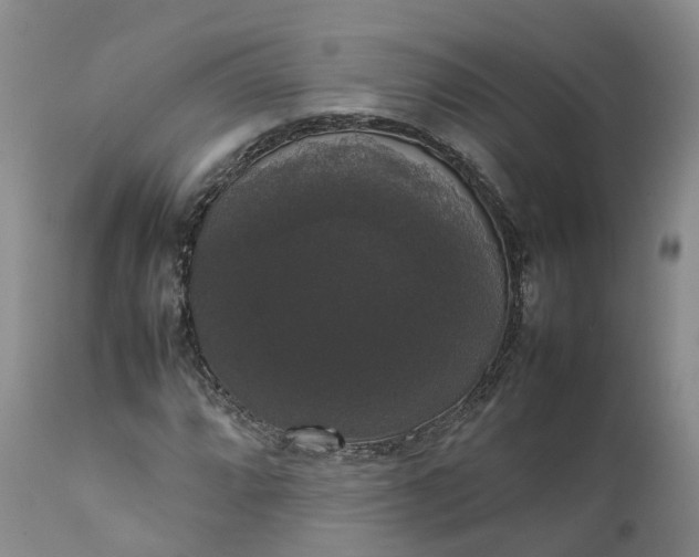 X0000111371064200907241240