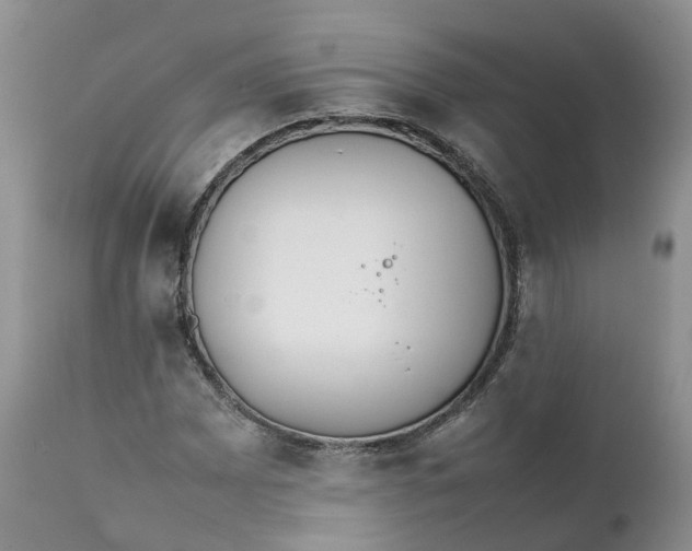 X0000111371065200907241240