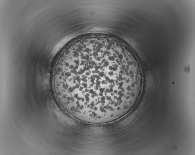 X0000111371066200907241240