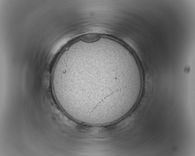 X0000111371067200907241240