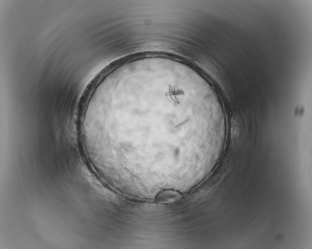 X0000111371068200907241240