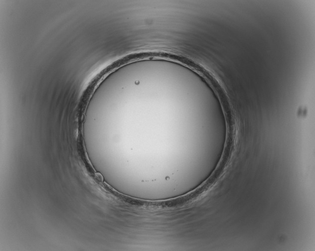 X0000111371069200907241240