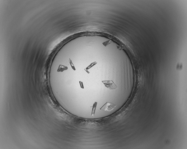 X0000111371070200907241240