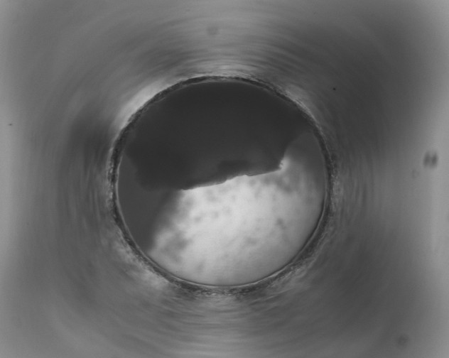 X0000111371071200907241240