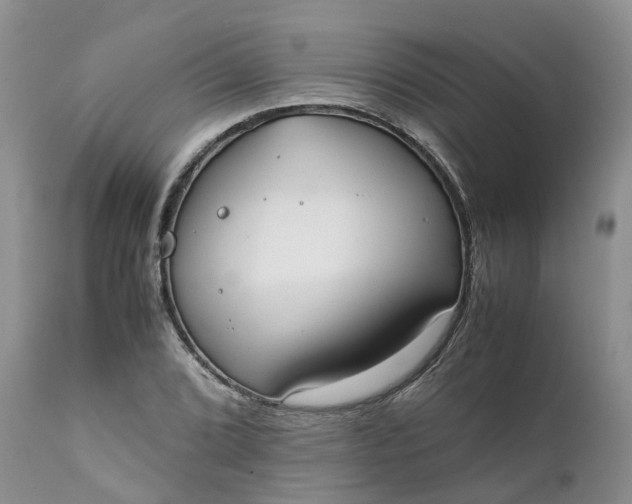 X0000111371072200907241240